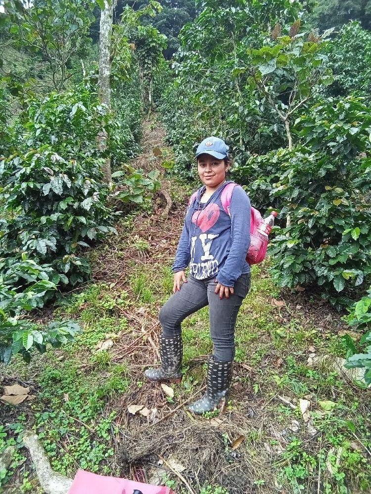 Registro de productores