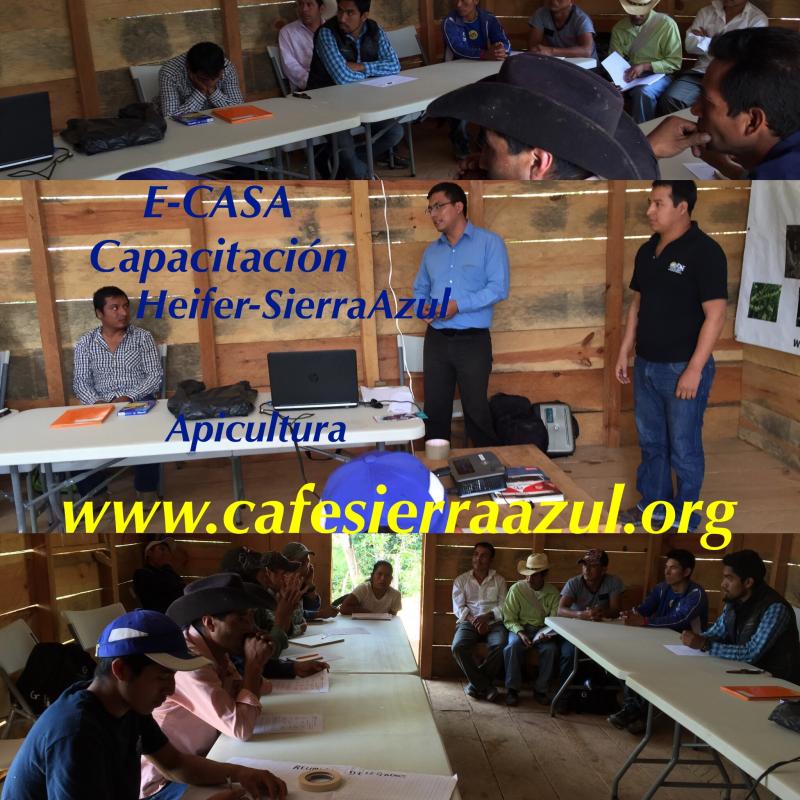 Cafe Gourmet Sierra Azul SC News